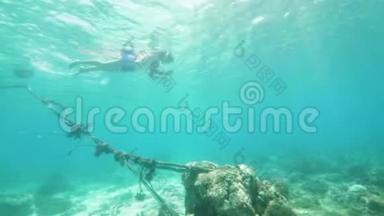 少女正在海底与珊瑚礁浮潜，并在电话上拍摄海洋生物的照片，水下拍摄。